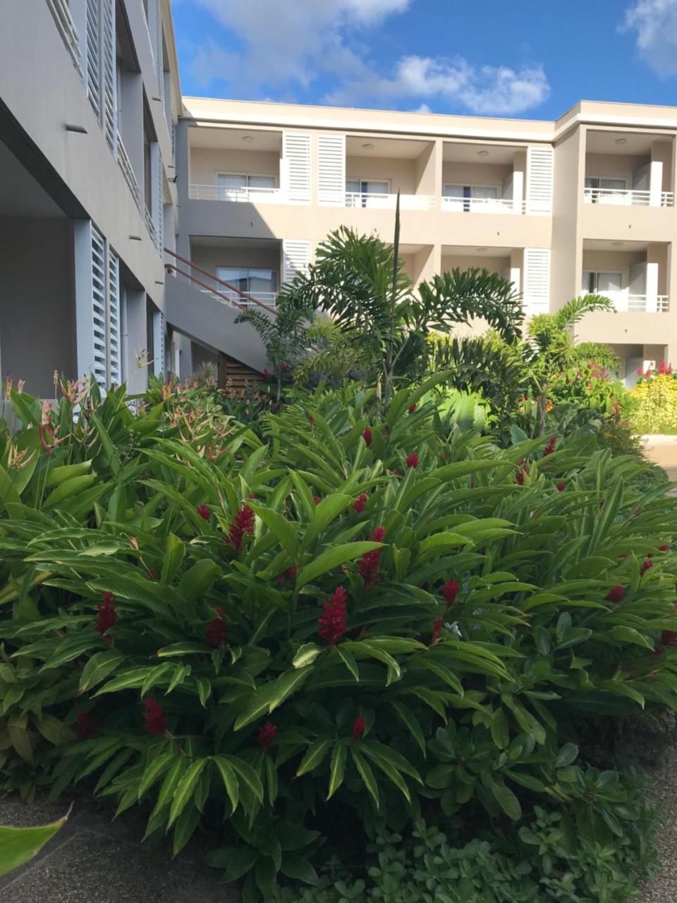 Diamant Les Bains - Residence Hoteliere Ле-Диаман Экстерьер фото